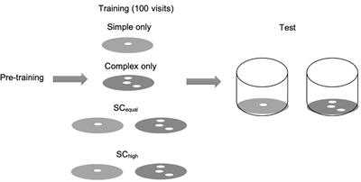 Generalization of Foraging Experience Biases Bees Toward Flowers With Complex Morphologies